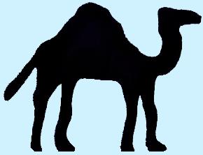 CampbellCamel
