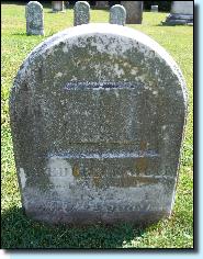 WOLFFredgrave